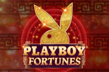 Playboy Fortunes Slot Game (Microgaming)