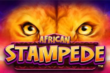 high roller african stampede slot machines online india