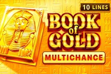 Book of Gold Multichance (Playson)