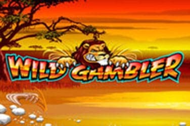 Wild Gambler Slot Game By Playtech