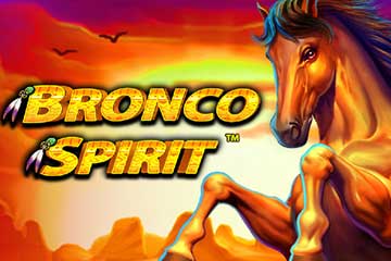 Bronco Spirit Bronco Spirit