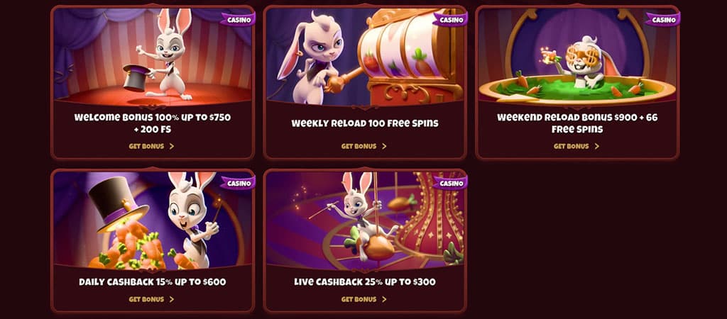 Magius Casino Bonuses, Promotions & VIP Program